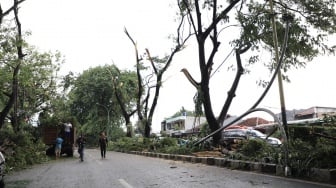 Masuk Musim Hujan Warga Tangerang Bisa Ajukan Pemangkasan Pohon, Begini Caranya Lapornya