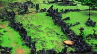 Wajah Baru Situs Gunung Padang: Bebatuan Rebah Ditegakkan Kembali