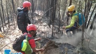 Hutan Gunung Kawi Terbakar, Titik Api Dekat Wagir Malang