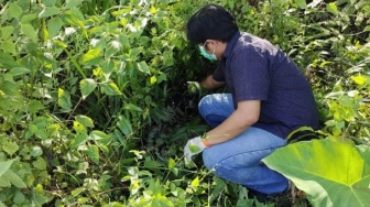 Mayat Bayi Ditemukan Membusuk dalam Kantong Plastik di Melawi Baru Berusia 3 Hari