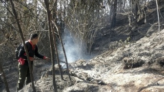 Kebakaran Gunung Kawi Belum Padam, Lahan yang Hangus Terus Meluas