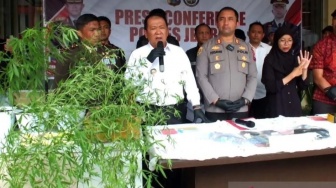 Tidak Sekadar Jual, Warga Jember Ini Juga Tanam Ganja di Pekarangan Rumahnya