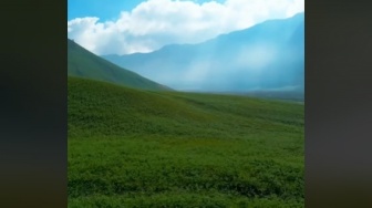 Viral Indahnya Savana Bromo Usai Terbakar, Malah Dikira Editan