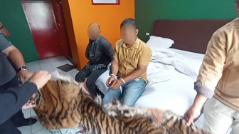 Polisi Tangkap Pemilik dan Penjual Kulit Harimau-Sisik Trenggiling di Hotel Padangsidimpuan