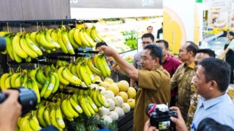 Pemprov Sulsel Lakukan Percepatan Pengembangan Budidaya Pisang