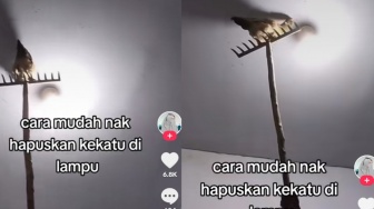 Entah Dapat Ide dari Mana, Sebuah Cara Usir Laron di Luar Dugaan oleh Pria Berkaus Kuning