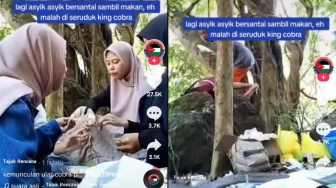 Pengen Piknik di Hutan? Tetap Hati-Hati, Jangan Sampai Terjadi Seperti Ini