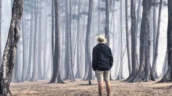 Mengenal Hutan Pinus Samboja, Destinasi Wisata Alam di Tengah Kota Kutai Kertanegara