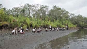 Jaga Lingkungan, OMG Sumbar Bersama Masyarakat Tanam Ratusan Bibit Mangrove di Pantai Penyu