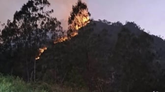 Petir Menyambar, Lereng Gunung Panderman Terbakar