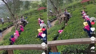 Tak Kalah dengan yang Muda-mudi, Gaya Foto Ibu-ibu Ini di Kebun Teh Sungguh Kreatif