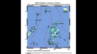 Halmahera Barat Diguncang Gempa M 6,6, BMKG Minta Masyarakat Hati-hati Gempa Susulan