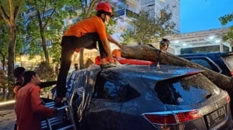 Pohon Besar Tumbang Timpa Mobil di Padang, Begini Nasib Sopirnya