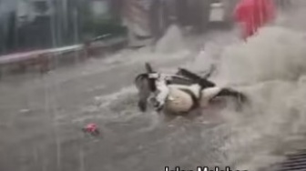 Ratusan Rumah di Bogor Terendam Banjir Lintasan, Berikut Titik-titiknya