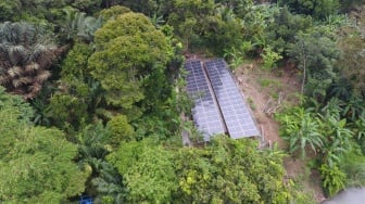 Ada PLTS Bukit Asam, Petani Tetap Garap Sawah Saat Kemarau Panjang