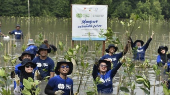 Hijaukan Lahan Kritis, Pekerja Medco E&P Tanam Belasan Ribu Pohon