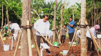 Presiden RI Joko Widodo Hadiri  Gerakan Tanam Pohon Bersama PT Astra International Tbk, Total Bibit Mencapai 500 Batang