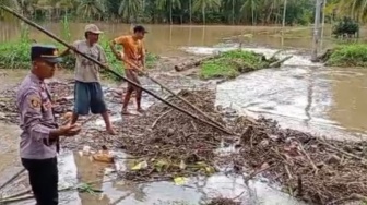 Tanggul Jebol, Banjir Rendam Rumah Warga Pekon Kacapura Semaka