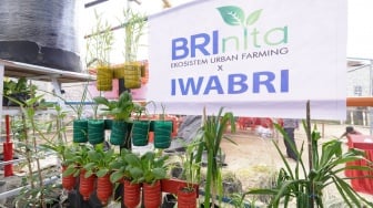 Warga Tuminting & BRI Ubah Lahan Timbunan Sampah Jadi Lahan Urban Farming 'BRInita'