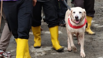 Anjing Pelacak Dikerahkan Cari Korban Banjir Bandang-Longsor di Humbahas