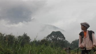 Plh Kepala BKSDA: Reaktivasi Kegiatan di Gunung Marapi Kesepakatan Bersama