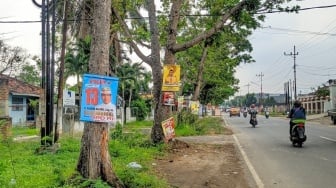 Warga Resah Banyak APK Dipasang di Pohon di Sejumlah Titik di Bandar Lampung