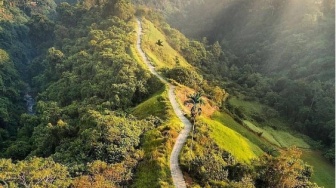 Campuhan Ridge Walk di Bali, Wisata Alam yang Menjadi Surganya Banyak Pendaki