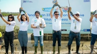 BRI Gandeng BenihBaik Tanam 33 Ribu Pohon Mangrove