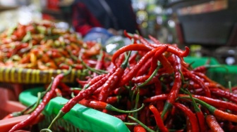 Harga Cabai Merah Tembus Rp80.000 per Kilogram di Palembang, Ini Penyebabnya