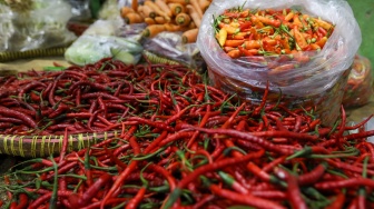 Harga Cabai Merah di Pasar Raya Padang Turun Jadi Rp 45.000 per Kilogram