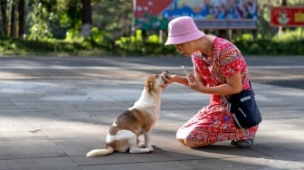 Penting! 5 Keistimewaan Merawat Anjing yang Ternyata Bisa Menangkal Demensia