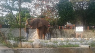 Wow! Semarang Zoo Siapkan Program Khusus untuk Pengunjung Saat Libur Nataru