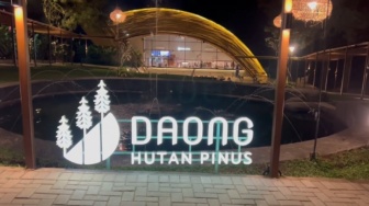 Kopi Daong Bogor, Cafe di Tengah Hutan Pinus Ada Playground dan Mini Zoo