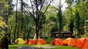 Taman Merak Pujon Rafting di Kabupaten Malang: Destinasi Wisata Alam yang Menantang dan Menenangkan