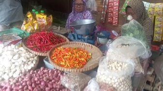 Harga Cabai Melonjak, Warga Lampung Diimbau Tanam Cabai di Pekarangan Rumah