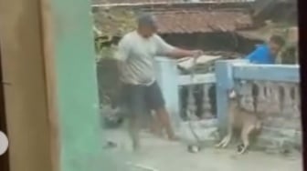 Hotman Paris Soroti Kasus Pembunuhan Anjing Lato di Solo hingga Ajak Semua Pengacara Bergerak