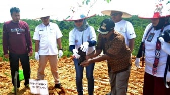 Buah Lokal Jadi Andalan Ketahanan Pangan IKN