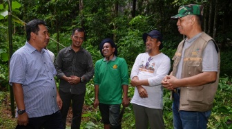 10 Ribu Pohon Sukun Akan Ditanam di Rammang-rammang Maros