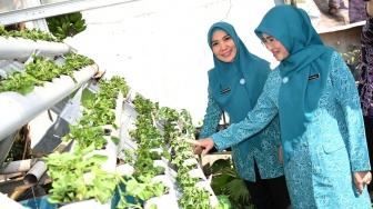 Kunjungi Lokasi Pengolahan Pisang Cavendish di Makassar, PKK Sarankan Masyarakat Belajar ke Daerah Ini