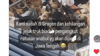 Viral Truk Angkut Ratusan Anjing Diduga untuk Konsumsi, Sudah Masuk Wilayah Sragen?