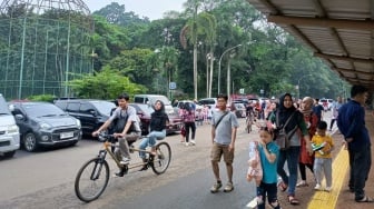 Libur Natal, 33 Ribu Lebih Pengunjung Padati Taman Margasatwa Ragunan