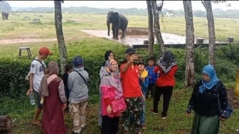 Biaya Mahal, Wisatawan Asal Jambi Kecewa Datangi TNWK