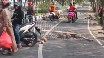 Amuk PKL Pantai Kenjeran Surabaya, Berawal dari Satpol PP Tertibkan Pedagang Nakal