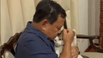 Mengenal Bobby Gemoy Milik Prabowo Subianto, Kucing Kesayangan Punya Akun Media Sosial Hingga Ribuan Penggemar