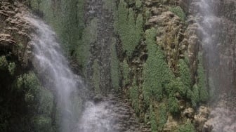 Garut Rasa Swiss! 4 Rekomendasi Wisata Keluarga Paling Hits untuk Liburan Akhir Tahun 2025