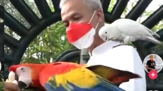 Capres Ganjar Pranowo Hobi Bermain Burung Sejak Kecil, Pantas Saja Karakternya Seperti Ini