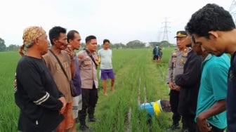 Petani di Walantaka Serang Ditemukan Tewas di Sawah, Ada Tanda Kekerasan?