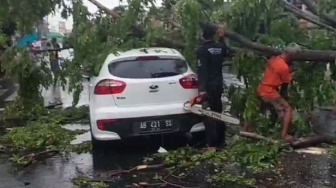 Hujan Deras Disertai Angin Kencang Melanda Sukoharjo, Pohon Tumbang hingga Menimpa Mobil yang Melintas