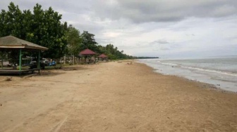 Wisata Pantai Corong di PPU, Spot Wisata Instagramable dengan Deretan Pohon Kelapa