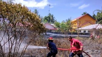 46 Kasus Kebakaran Terjadi di Pariaman Selama 2023, Mayoritas Gara-gara Ini